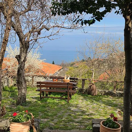 Olympia Cozy House * Palaios Panteleimonas