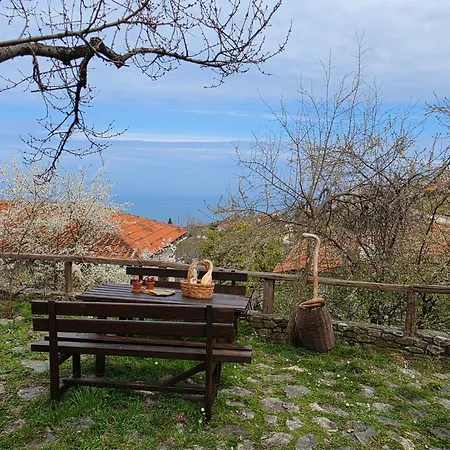 Olympia Cozy House * Palaios Panteleimonas